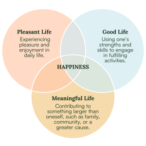 Seligman's Three Dimensions of Happiness- Pleasure, Good, Meaningful